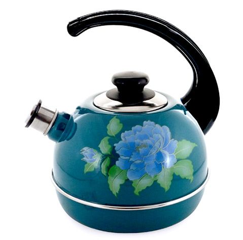 Kettle 3.5 l. (cons. pen) turquoise Blue Orchid (decor. stainless steel) ?04/35/06/13